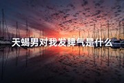 天蝎男对我发脾气是什么意思_天蝎座男脾气火爆：揭秘原因与应对策略
