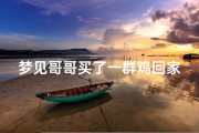 梦见哥哥买了一群鸡回家—梦见家里买了好多鸡