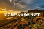 梦见和死人拔榆树枝好不好,梦见和死人一起插秧好不好
