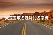 虎宝宝取名姓沈的名字男孩—《沈氏虎宝宝，威武雄壮好名字》