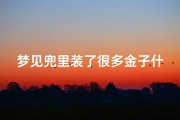 梦见兜里装了很多金子什么意思啊-梦见兜里装了很多钱是什么意思