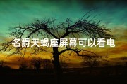 名爵天蝎座屏幕可以看电影吗—名爵天蝎座大屏观影体验：电影就在掌中