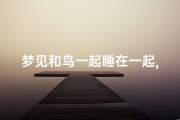 梦见和鸟一起睡在一起,梦见和鸟一起睡在一起好不好