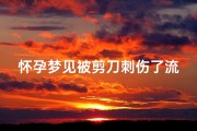 怀孕梦见被剪刀刺伤了流血,怀孕梦见被剪刀刺伤了流血不止