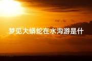 梦见大蟒蛇在水沟游是什么征兆(梦见大蟒蛇在水里游是什么征兆)