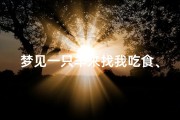 梦见一只羊来找我吃食、梦见一只羊朝我走来