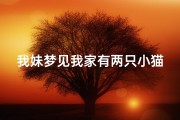 我妹梦见我家有两只小猫什么意思-女人梦见两只猫进家是什么预兆