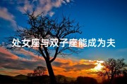 处女座与双子座能成为夫妻吗