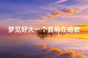 梦见好大一个音响在唱歌、梦见听音响里放的歌