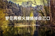 梦见两根火腿肠掉自己口袋(梦见双汇火腿肠)