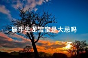 属牛生龙宝宝是大忌吗
