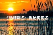 《选牌测名：揭秘狗狗名字吉凶之谜》