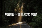 属猴能不能佩戴龙_属猴女生专属：龙项链，灵动魅力绽放