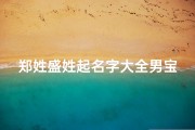 郑姓盛姓起名字大全男宝宝_郑姓盛姓起名字大全男宝宝两个字
