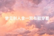 梦见别人拿一双布鞋穿着—梦见别人拿鞋子给我穿