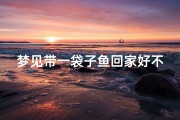 梦见带一袋子鱼回家好不好(梦见带鱼回家是什么意思)