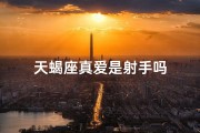 天蝎座真爱是射手吗