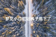 梦见小白蛇钻裤子底下了(梦到白蛇钻到裤子里)