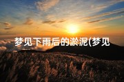 梦见下雨后的淤泥(梦见雨后淤泥满地)
