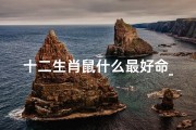 十二生肖鼠什么最好命_《鼠年生肖：揭秘鼠什么最好命的秘密》