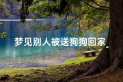 梦见别人被送狗狗回家_梦见别人被送狗狗回家了啥意思