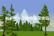 射手座一见钟情很深情吗—射手座一见钟情，深情如海，心动瞬间