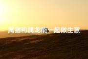 属猪和属龙能一起做生意吗