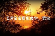 《虎宝宝搭配宸字，男宝宝取名新灵感》