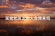 属猪和属龙的人合得来吗;属猪属龙女相冲好吗？婚配指南揭秘