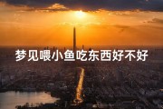 梦见喂小鱼吃东西好不好;梦见喂小鱼吃食