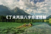 《丁未丙辰八字命理精解大全揭秘》