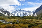 王马小吉是什么意思_王马小吉日谷市场价：揭秘价格背后的秘密