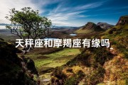 天秤座和摩羯座有缘吗_天秤摩羯虐恋：爱恨交织的星辰之谜