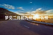梦见二月初九结婚什么预兆-梦见二月初九结婚什么预兆解梦
