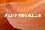 梦见好多柴堆在路上走路-梦见路上有很多柴草是什么意思