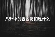 八卦中的吉凶阴阳是什么—八卦里的阴阳是什么意思