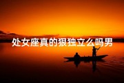 处女座真的狠独立么吗男生、处女座真的狠独立么吗男生会怎么样