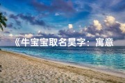 《牛宝宝取名昊字：寓意阳光男孩，未来可期》
