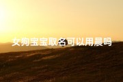 女狗宝宝取名可以用晨吗_属狗名字用辰好不好