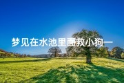 梦见在水池里面救小狗—梦见在水池里救小孩