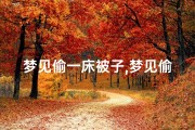 梦见偷一床被子,梦见偷了一床被子