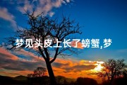 梦见头皮上长了螃蟹,梦见头上有螃蟹是什么意思啊