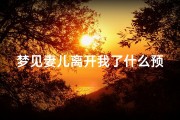 梦见妻儿离开我了什么预兆(梦见妻儿离开我了什么预兆呢)
