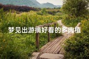 梦见出游摘好看的多肉植物,梦到很多多肉植物我采了许多