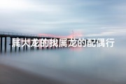 属大龙的找属龙的配偶行吗,属大龙的找对象找属什么的合适