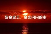 黎金宝贝：金光闪闪的幸运儿