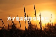 双子座需要搭档吗男生
