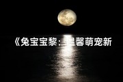 《兔宝宝黎：温馨萌宠新名字诞生记》