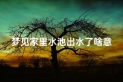 梦见家里水池出水了啥意思_梦见家里面有水池
