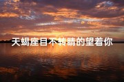 天蝎座目不转睛的望着你是爱吗
